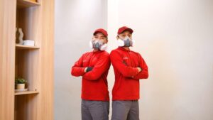 Alasan Penting Menggunakan Jasa Anti Rayap untuk Perlindungan Bangunan Secara Menyeluruh