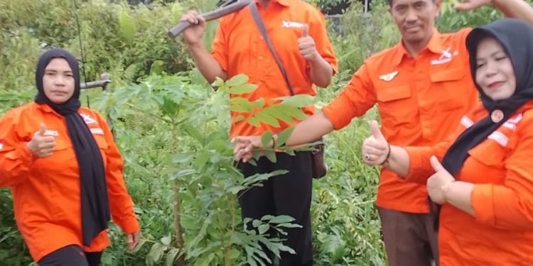 Rayakan Satu Tahun Perjalanan, Gerakan Rakyat Kalteng dan Katingan Kobarkan Gerakan Hijau Lewat Aksi Tanam Pohon